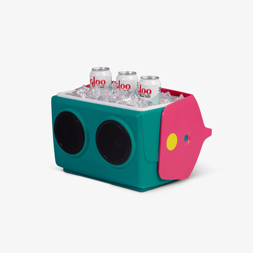 Igloo KoolTunes®