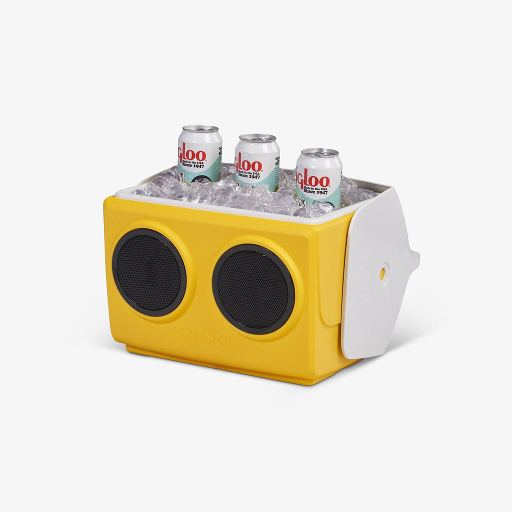Igloo KoolTunes®