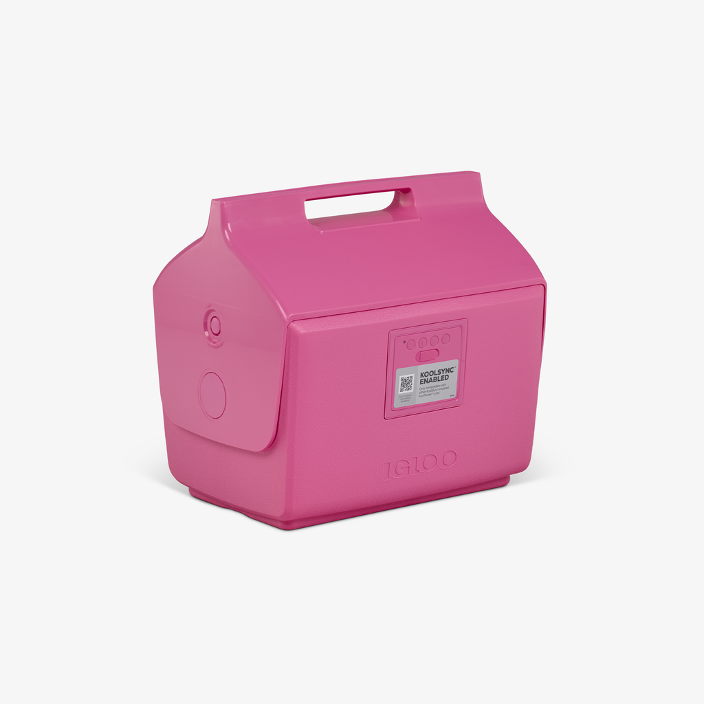 Igloo KoolTunes®