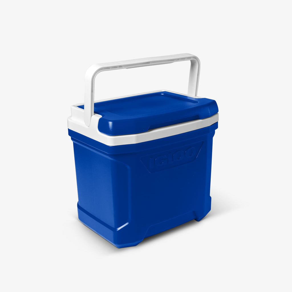 Igloo Profile II 16 Qt Cooler