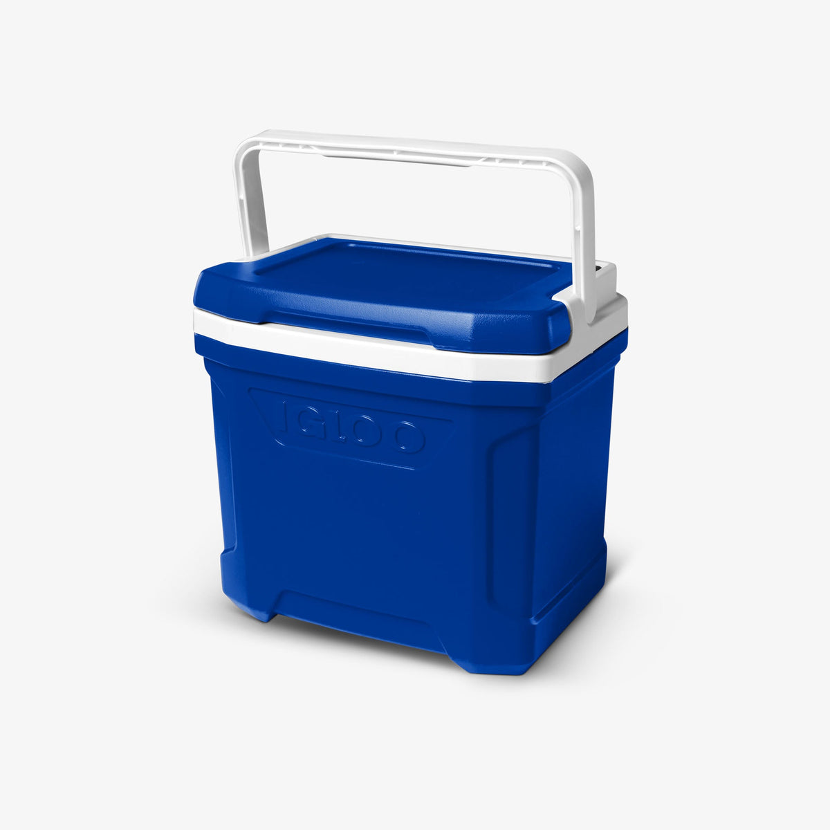 Igloo Profile II 16 Qt Cooler