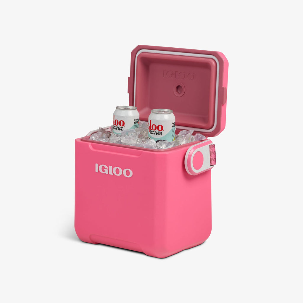 Igloo Tag Along Too Remix Cooler