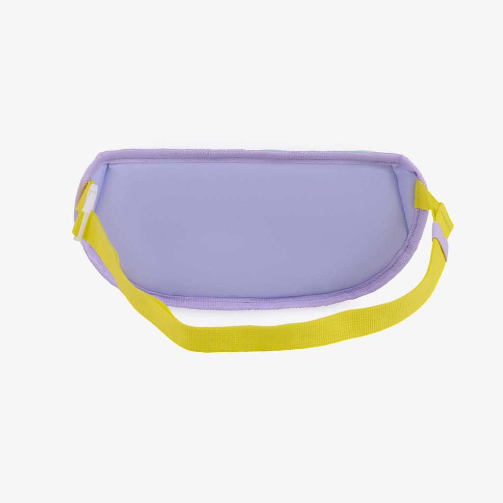 Igloo Retro Fanny Pack