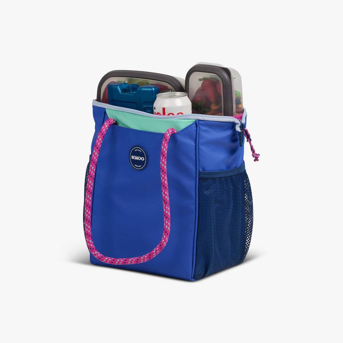 Igloo Summit 9-Can Tote