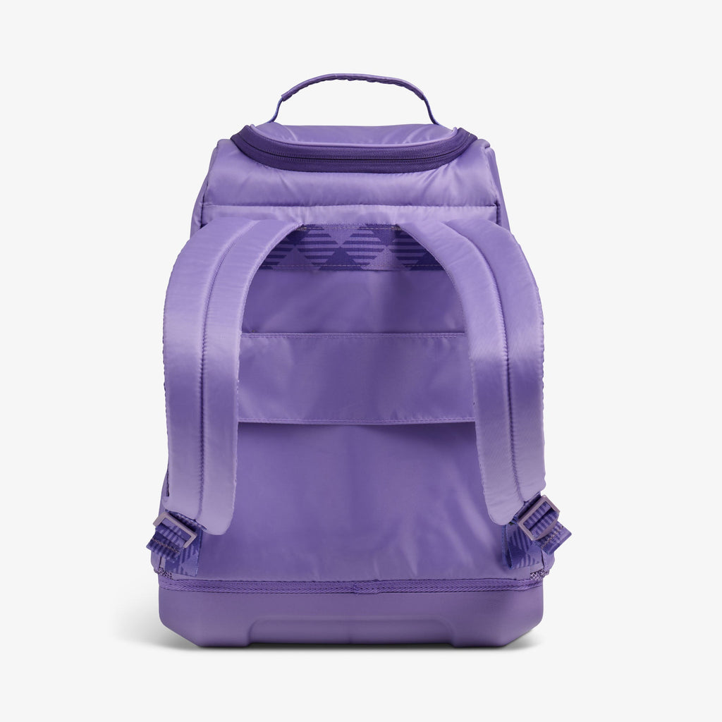 Igloo Tag Along Too 30-Can Backpack