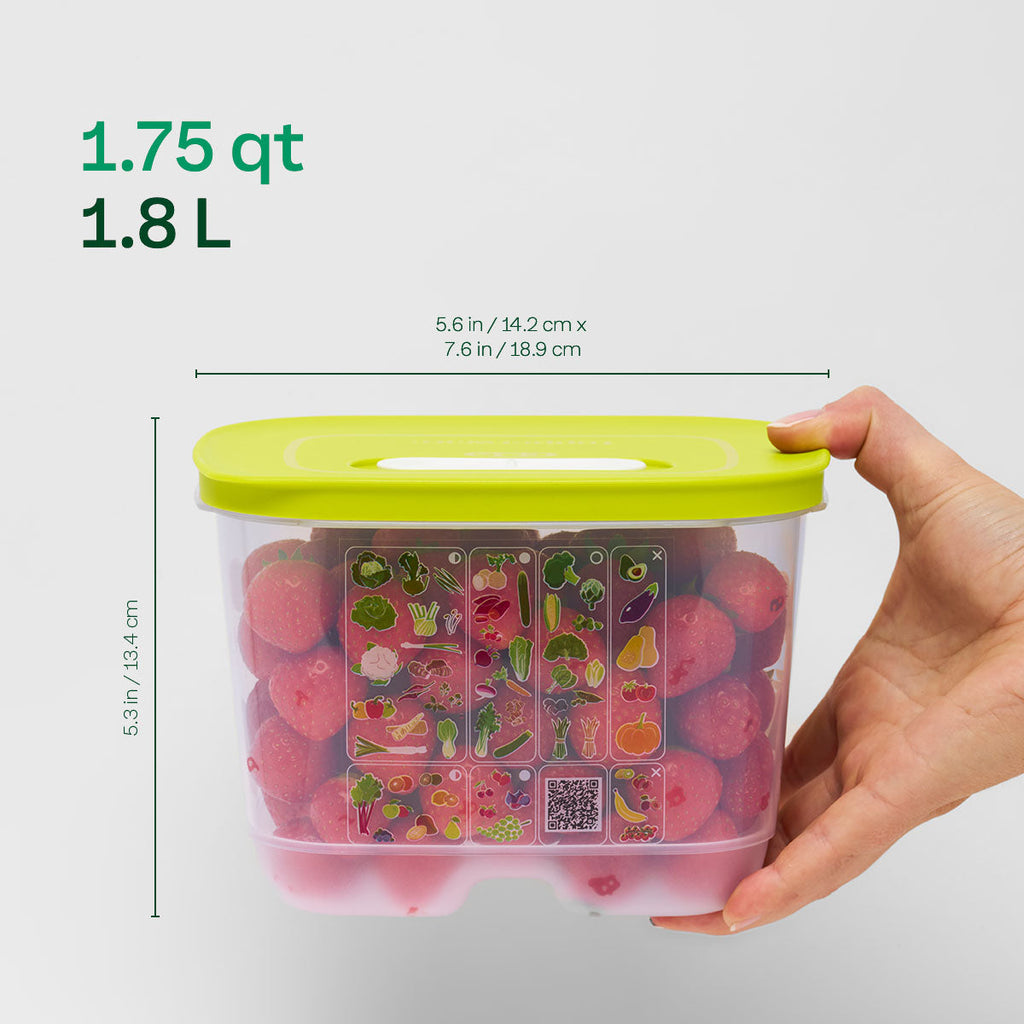 Tupper Ware Tupperware® FridgeSmart® Small Deep | Produce Storage Container With Lid