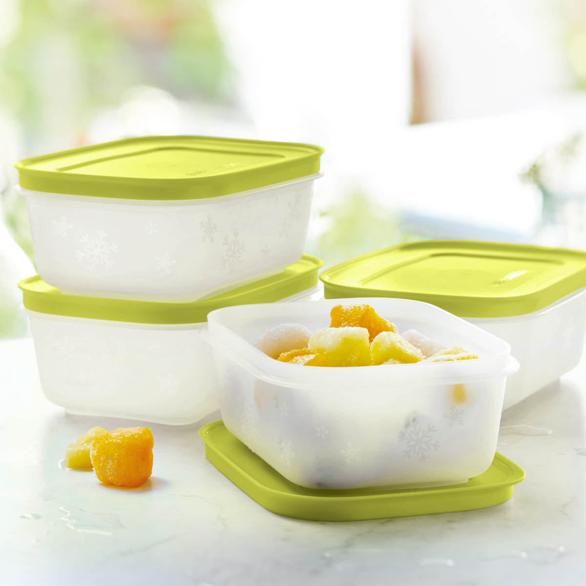Tupper Ware Tupperware® Freezer Mates® PLUS Small Shallow | 4-Piece Container Set