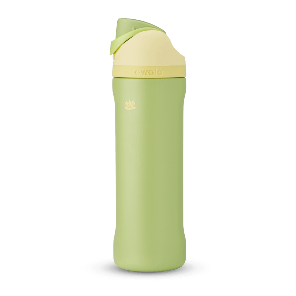 Owala Freesip Disney Princess Collection