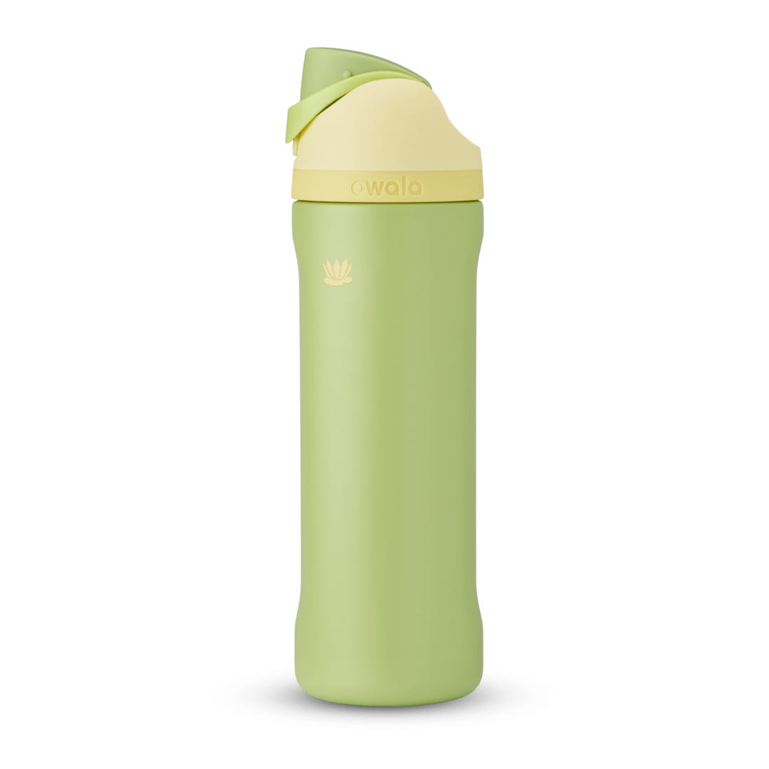 Owala Freesip Disney Princess Collection