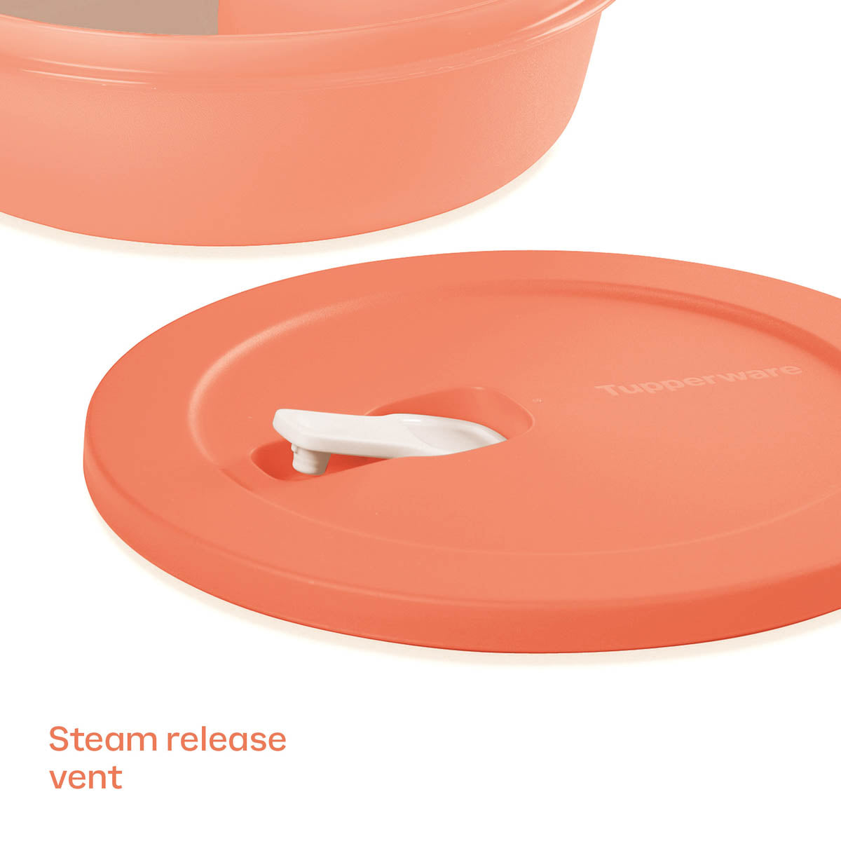 Tupper Ware CrystalWave® PLUS | Lunch ’N Dish with Cold Cup