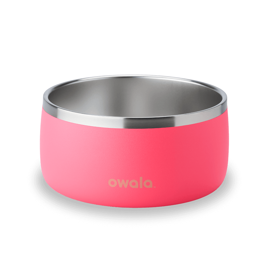 Owala Freesip Pet Bowl Custom
