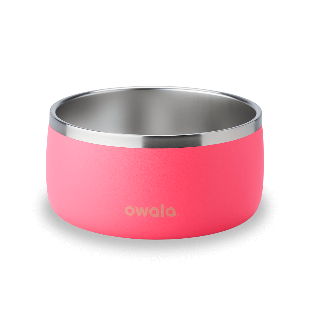Owala Freesip Pet Bowl Custom