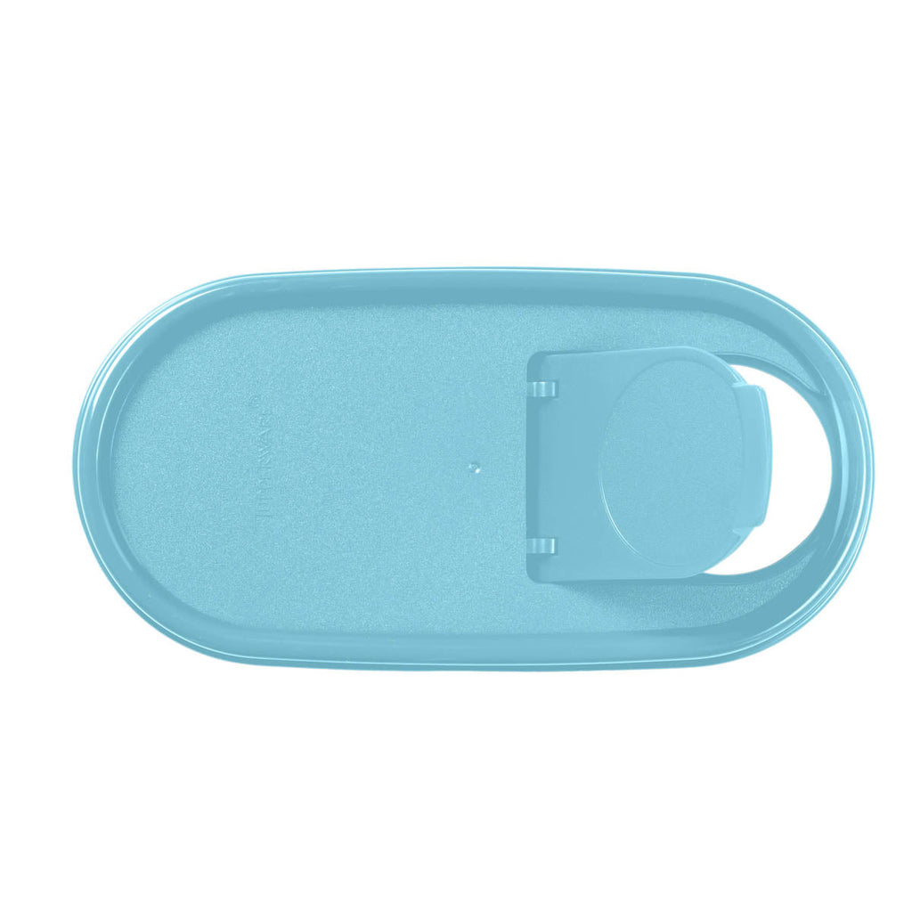 Tupper Ware Tupperware® Modular Mates® Oval | Pour-All Seal | Food Storage