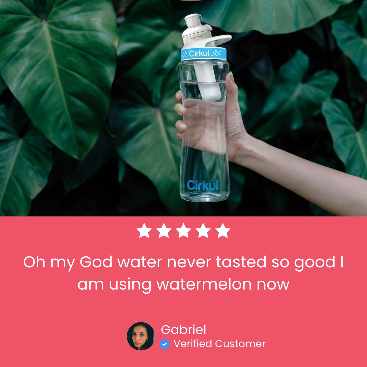 Cirkul Verda Watermelon