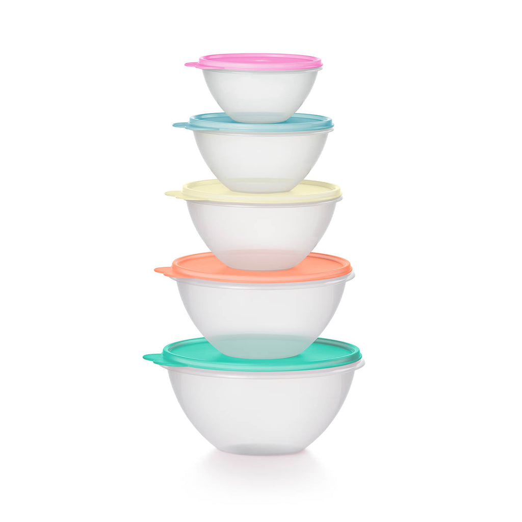 Tupper Ware Classic Wonderlier® Bowls | 5-piece Set