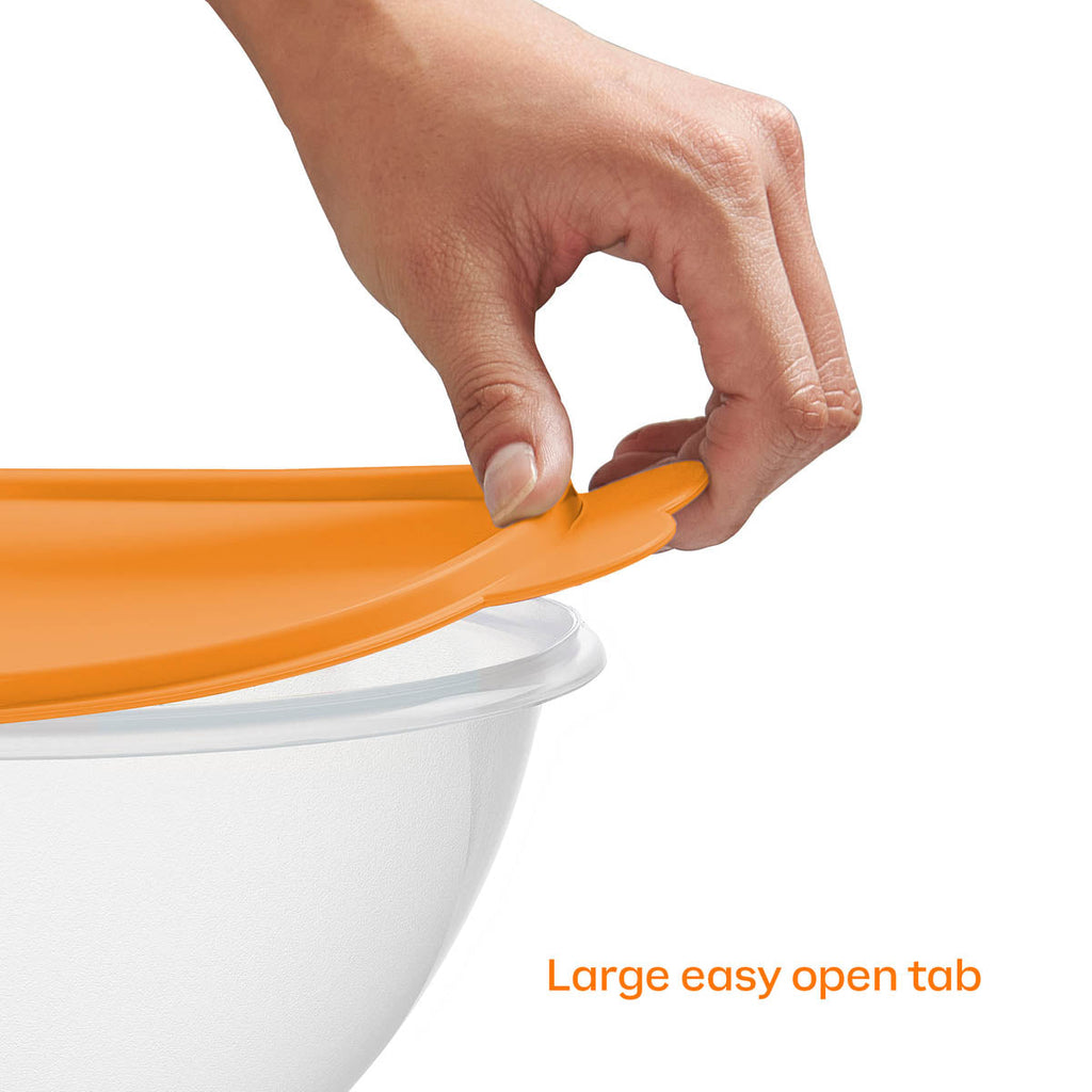 Tupper Ware Classic Wonderlier® Bowls | 5-piece Set