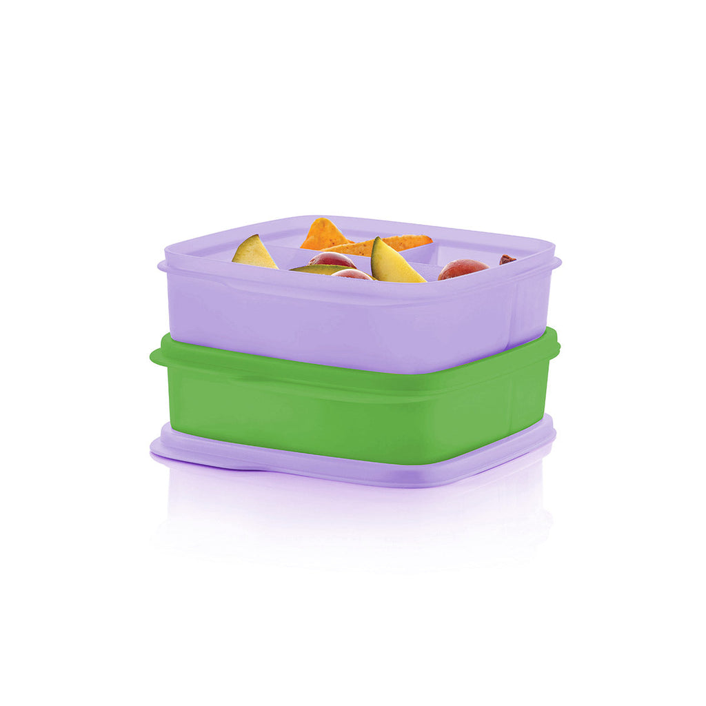 Tupper Ware Tupperware® Lunch-It® Containers