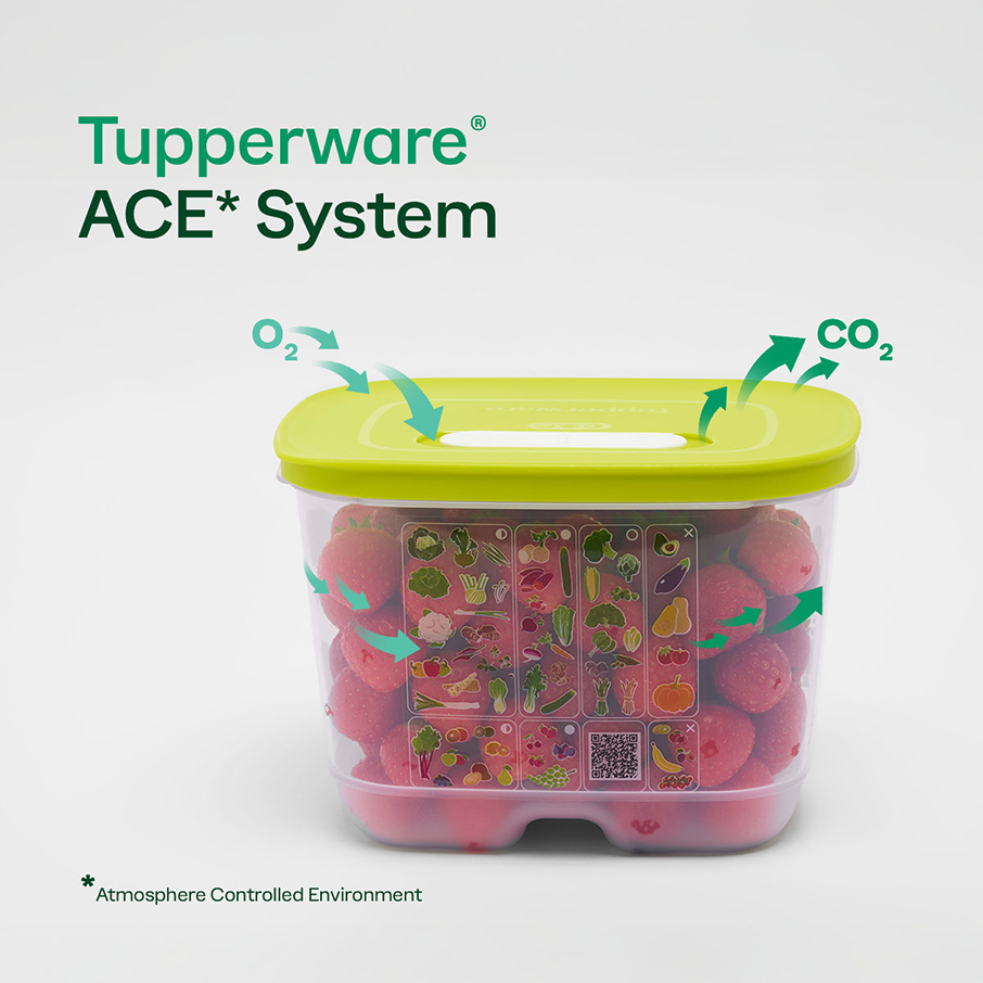 Tupper Ware Tupperware® FridgeSmart® Medium | Produce Storage Container With Lid