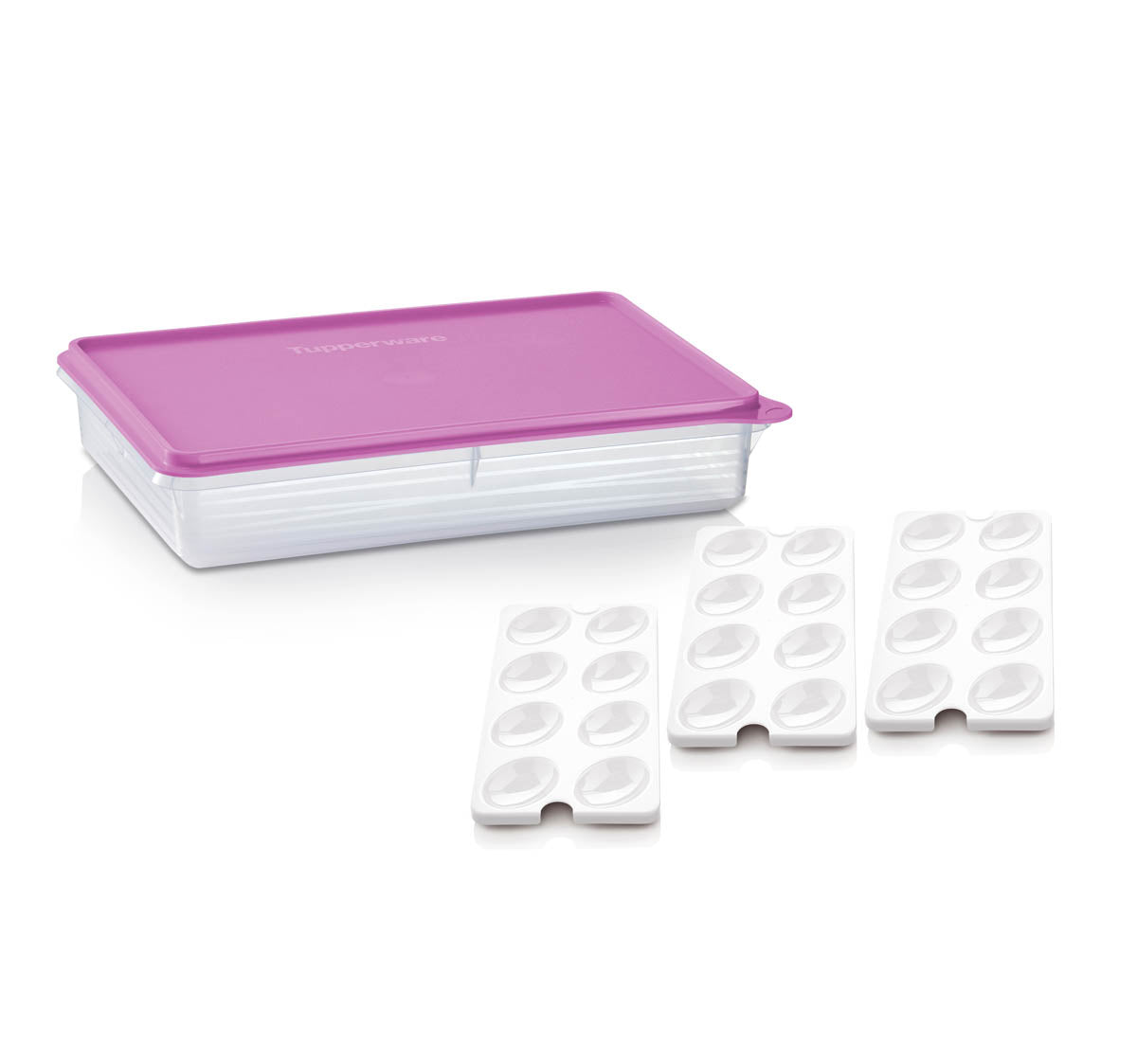 Tupper Ware Tupperware® Snack-Stor® Large Storage Container with 3 Egg Tray Inserts