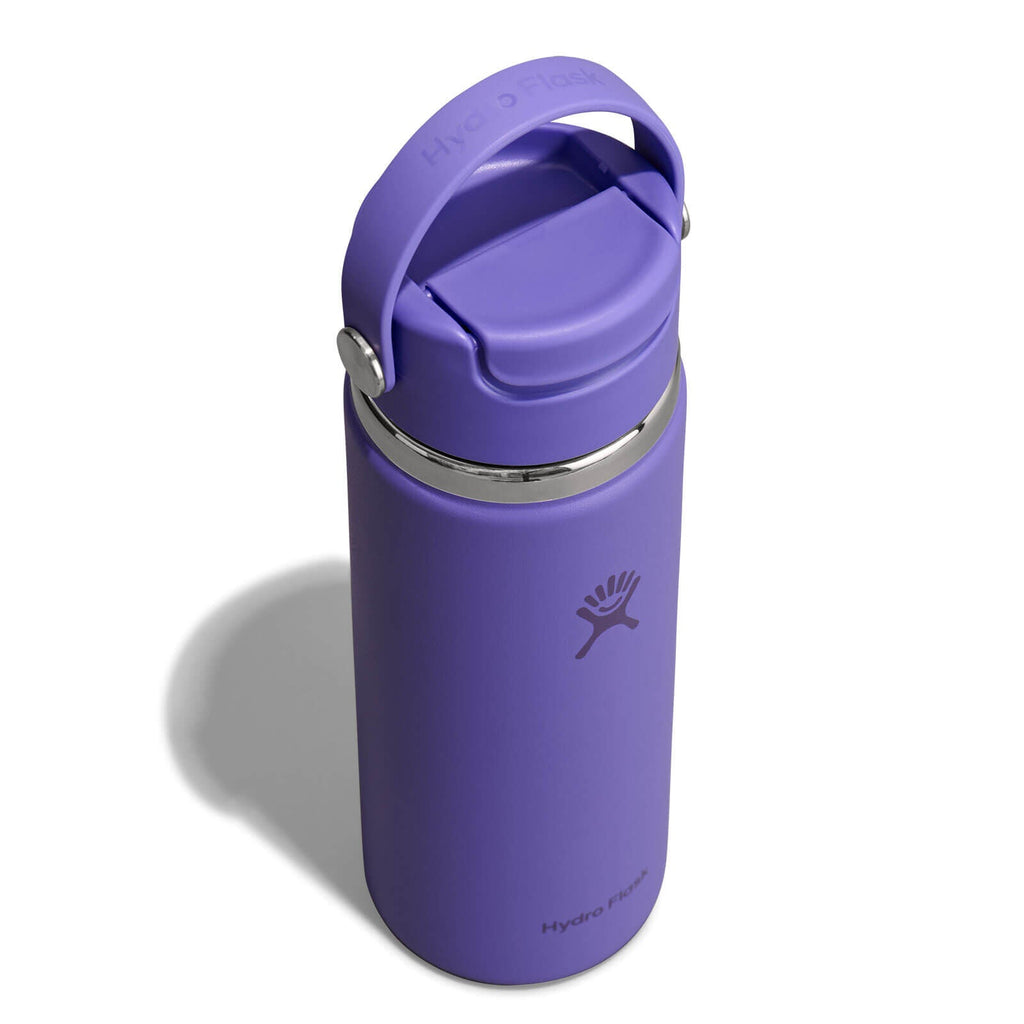 Hydro Flask 20 oz Flip Sip Travel Mug