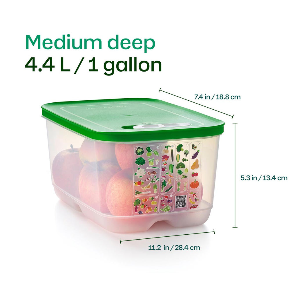 Tupper Ware Tupperware® FridgeSmart® 4-Piece Starter Set | Food Storage Containers