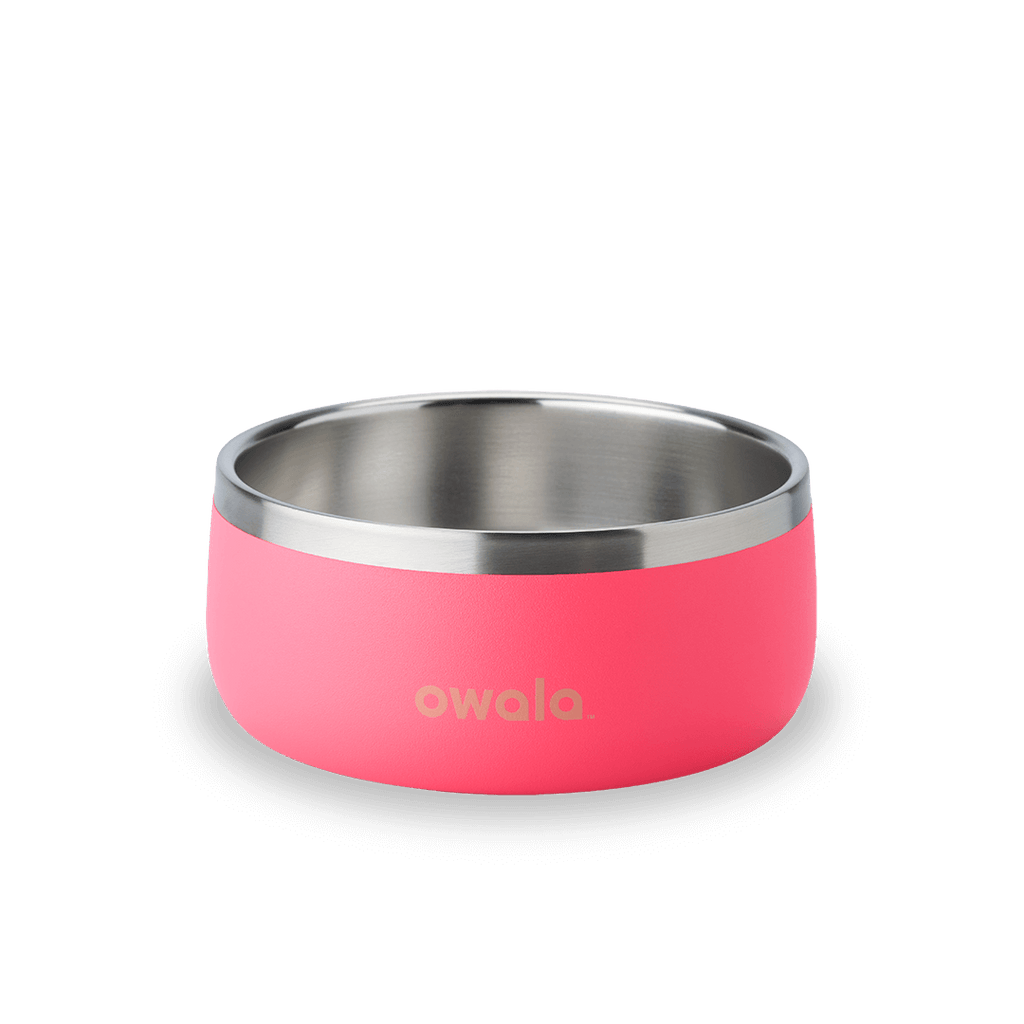 Owala Freesip Pet Bowl Custom