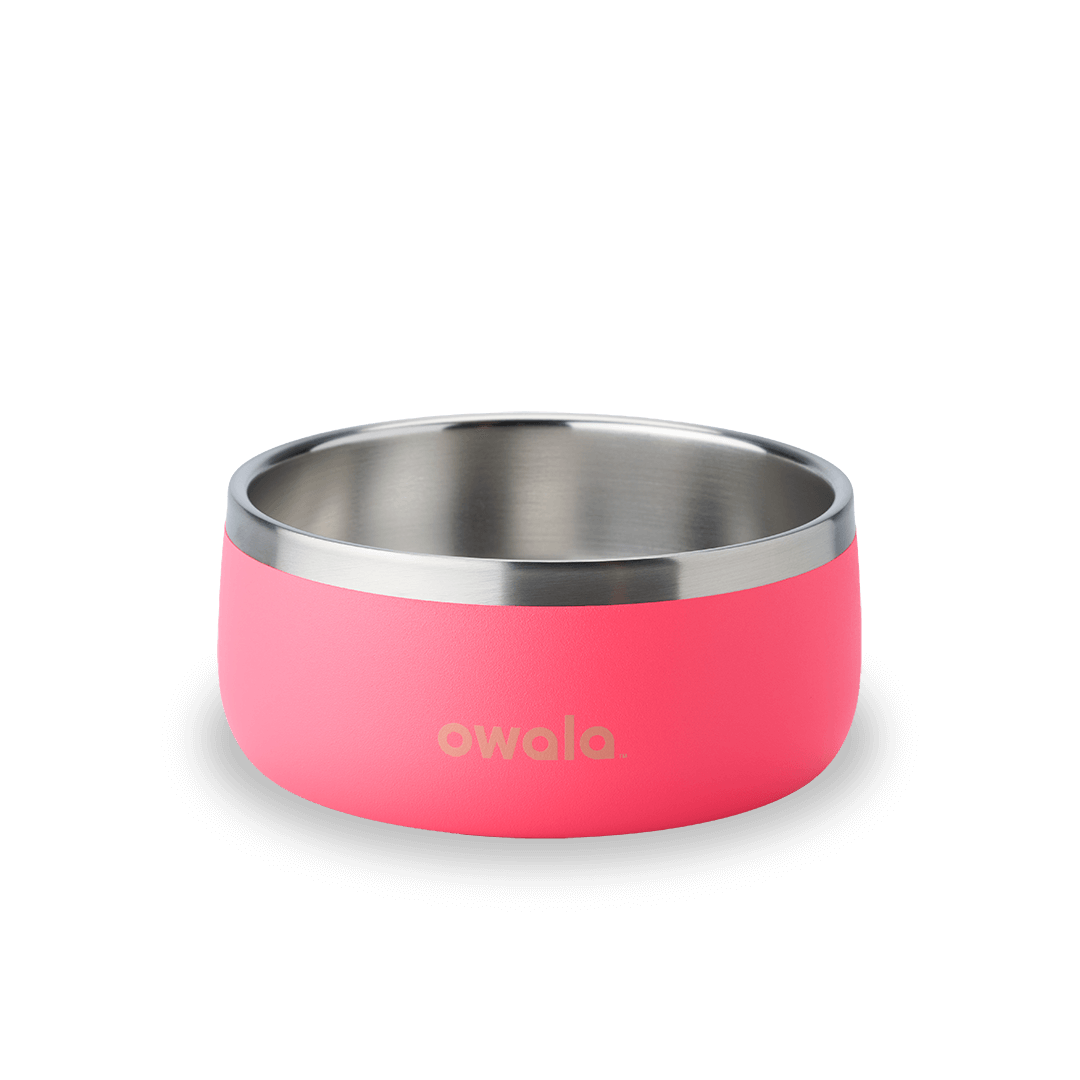 Owala Freesip Pet Bowl Custom