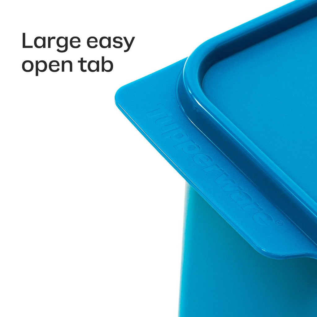 Tupper Ware KeepTabs® 8-Piece Set