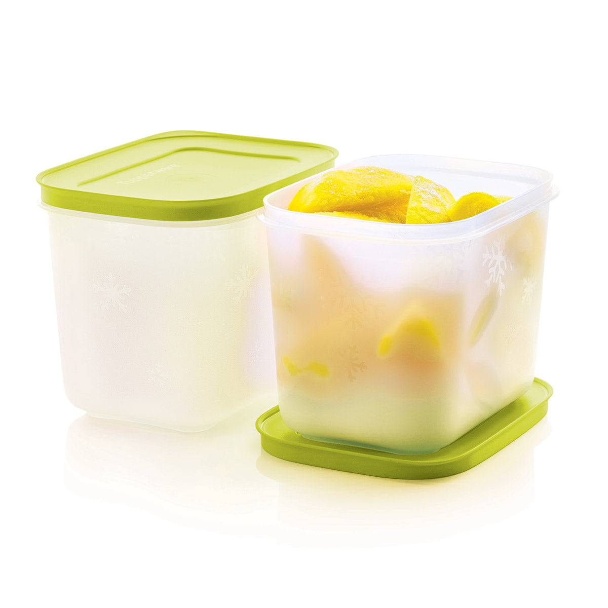 Tupper Ware Freezer Mates® Plus | Starter Set