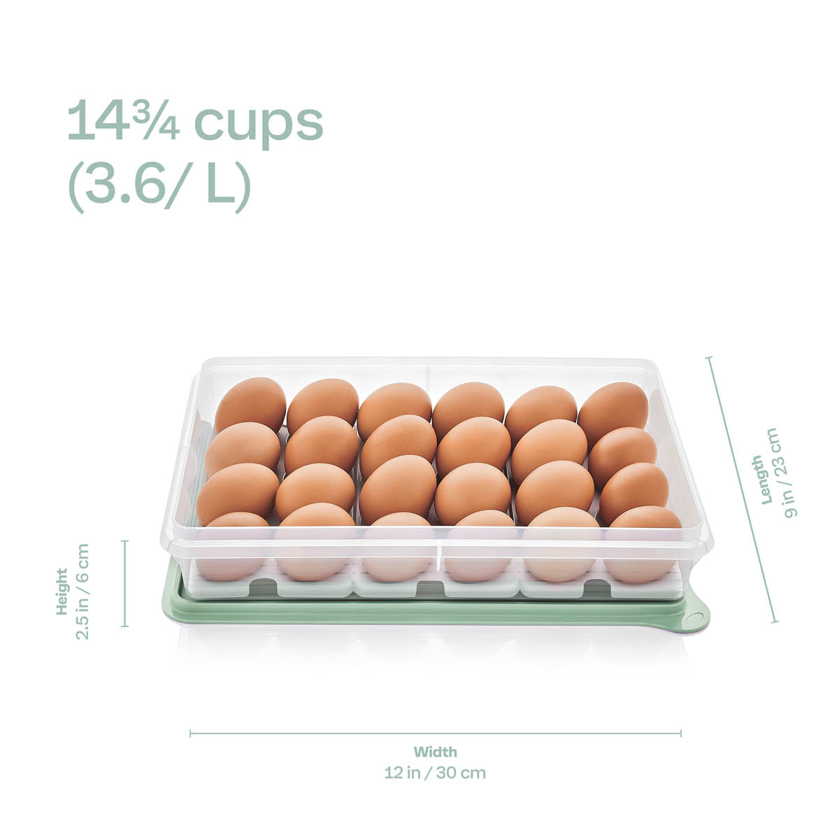 Tupper Ware Tupperware® Snack-Stor® Large Storage Container with 3 Egg Tray Inserts