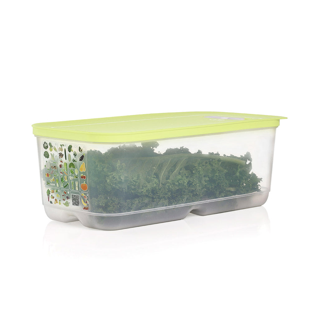 Tupper Ware Tupperware® FridgeSmart® Large Deep | Produce Storage Container With Lid