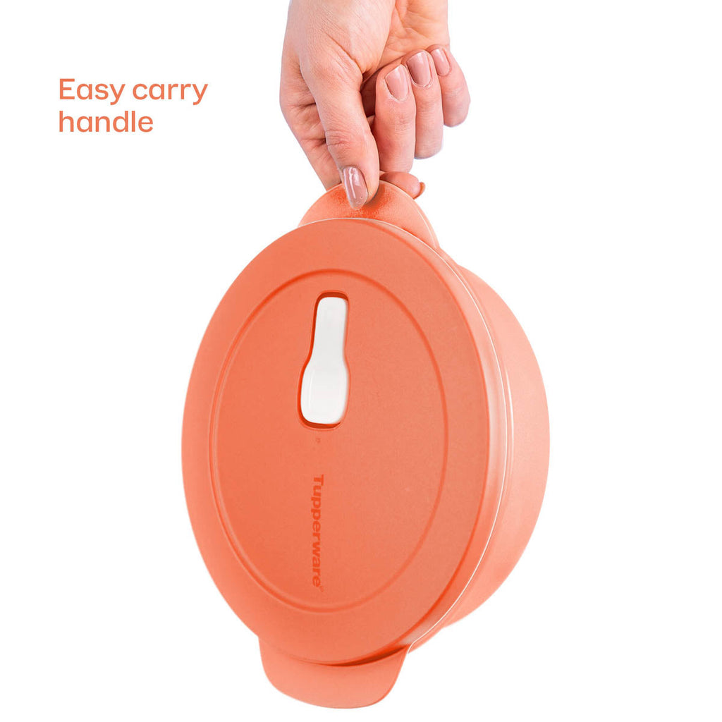 Tupper Ware CrystalWave® PLUS | Lunch ’N Dish with Cold Cup