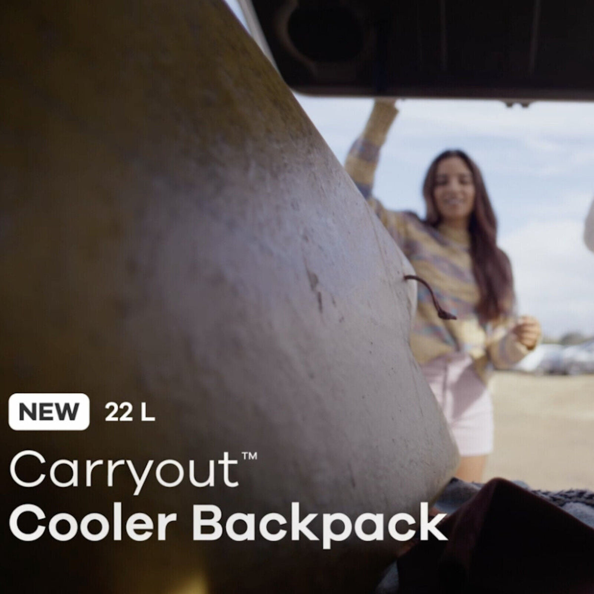 Hydro Flask Carryout™ Backpack 22 L