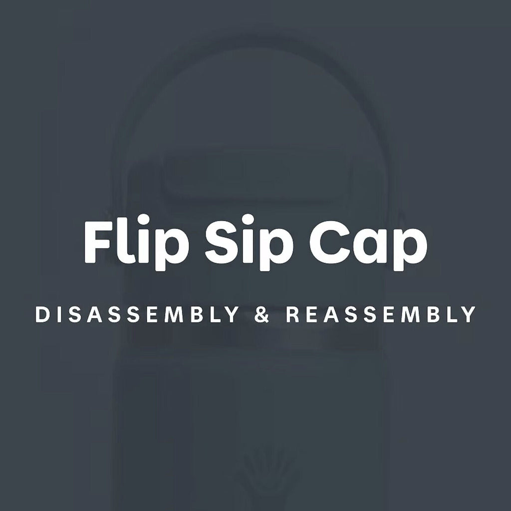 Hydro Flask 20 oz Flip Sip Travel Mug